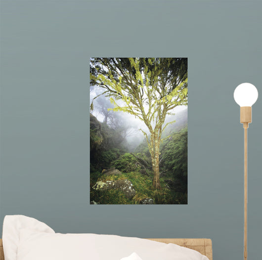 USA Hawaii Maui Foggy Wall Decal