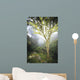USA Hawaii Maui Foggy Wall Decal