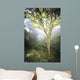 USA Hawaii Maui Foggy Wall Decal