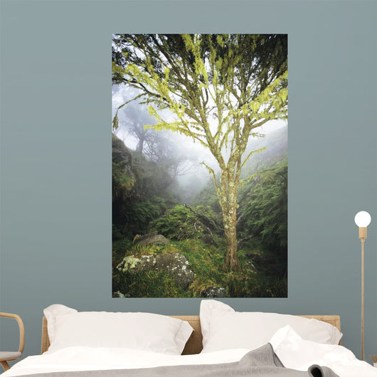 USA Hawaii Maui Foggy Wall Decal
