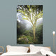 USA Hawaii Maui Foggy Wall Decal