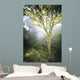 USA Hawaii Maui Foggy Wall Decal