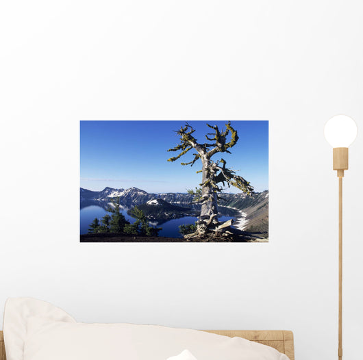 USA Crater Lake National Wall Decal