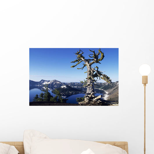 USA Crater Lake National Wall Decal