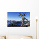 USA Crater Lake National Wall Decal