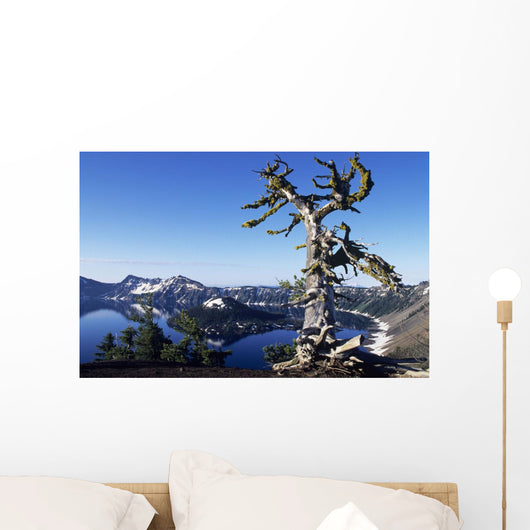 USA Crater Lake National Wall Decal