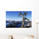 USA Crater Lake National Wall Decal