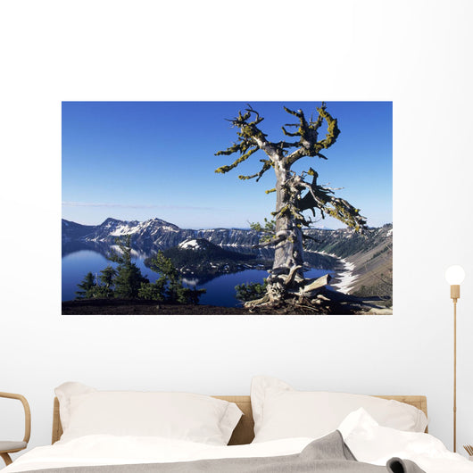 USA Crater Lake National Wall Decal