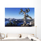 USA Crater Lake National Wall Decal