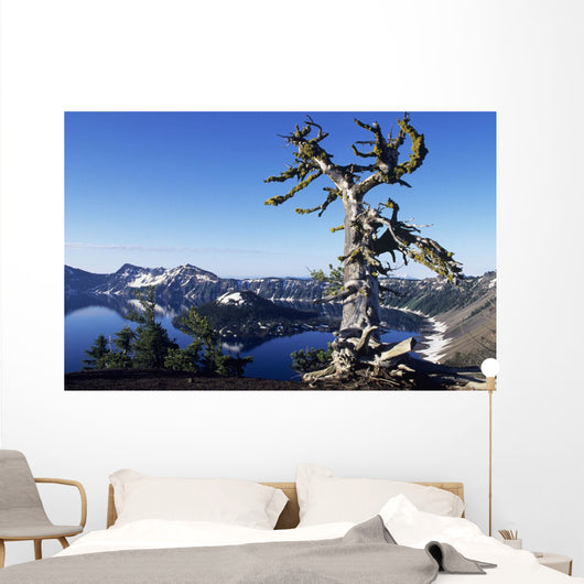 USA Crater Lake National Wall Decal
