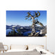 USA Crater Lake National Wall Decal