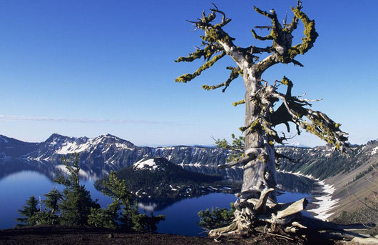 USA Crater Lake National Wall Decal