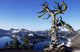 USA Crater Lake National Wall Decal