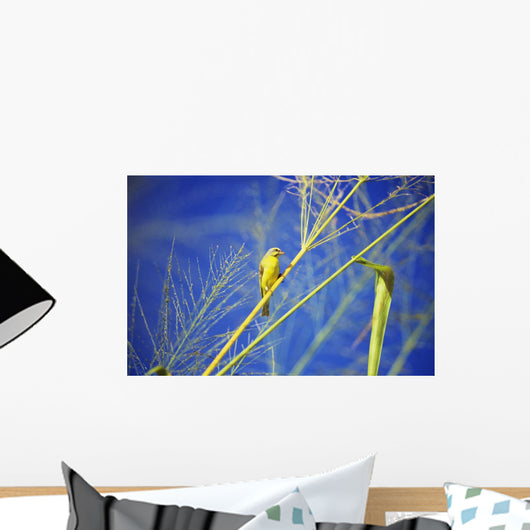 Closeup Yellow Fronted Canary Wall Decal