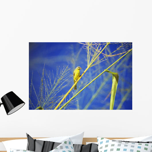 Closeup Yellow Fronted Canary Wall Decal