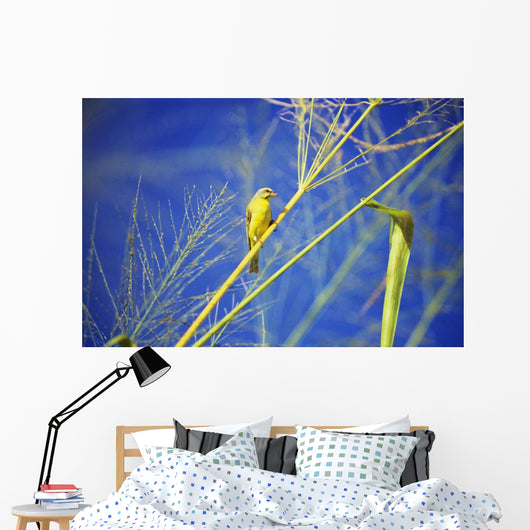 Closeup Yellow Fronted Canary Wall Decal