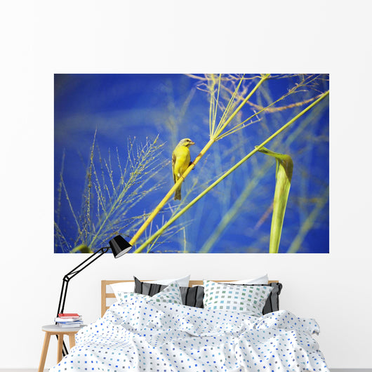 Closeup Yellow Fronted Canary Wall Decal