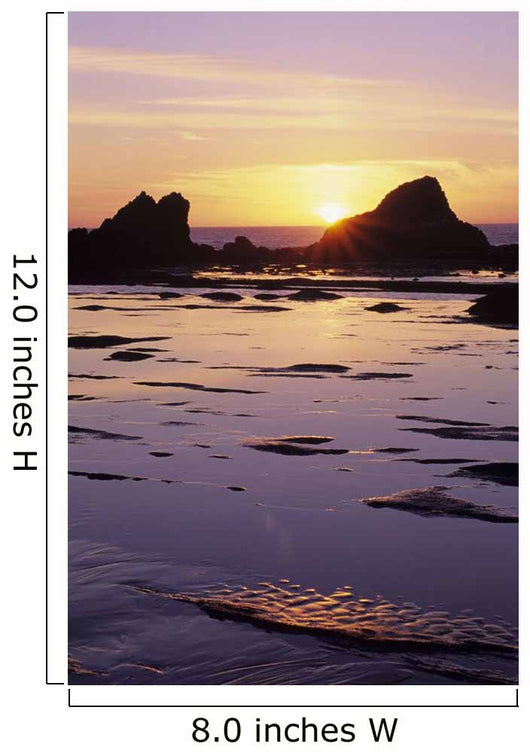 USA Sun Setting over Wall Decal
