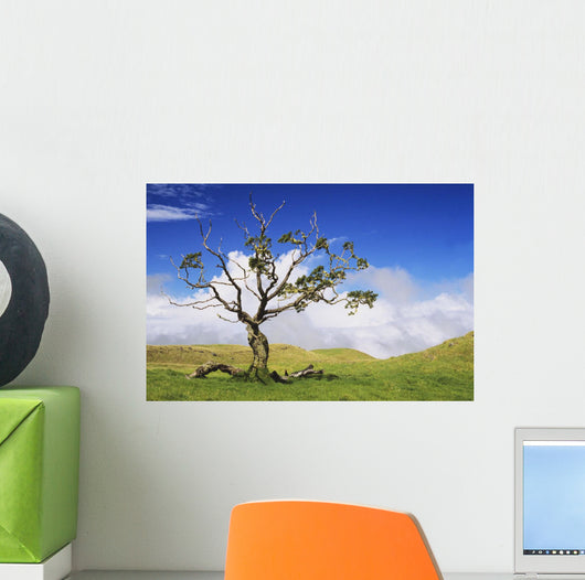 USA Hawaii Green Rolling Wall Decal