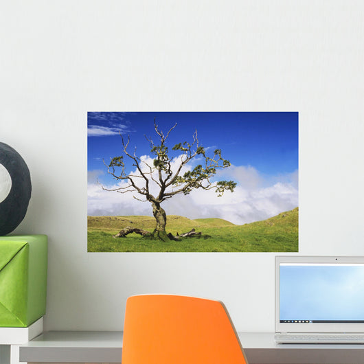 USA Hawaii Green Rolling Wall Decal