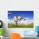 USA Hawaii Green Rolling Wall Decal