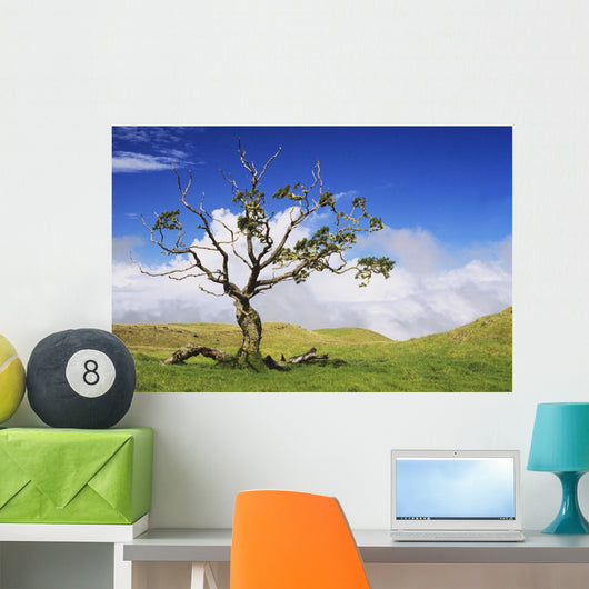 USA Hawaii Green Rolling Wall Decal