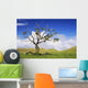 USA Hawaii Green Rolling Wall Decal
