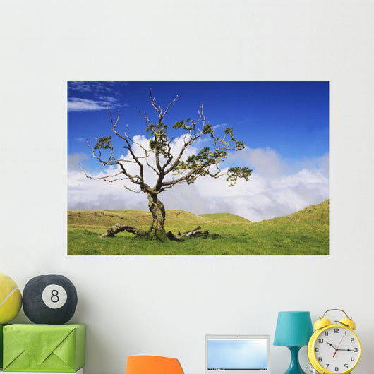 USA Hawaii Green Rolling Wall Decal