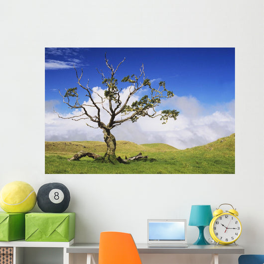 USA Hawaii Green Rolling Wall Decal