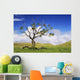 USA Hawaii Green Rolling Wall Decal