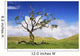USA Hawaii Green Rolling Wall Decal