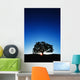 Hawaii Big Island Koa Wall Decal