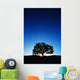 Hawaii Big Island Koa Wall Decal