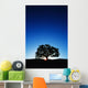 Hawaii Big Island Koa Wall Decal
