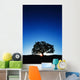 Hawaii Big Island Koa Wall Decal