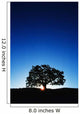 Hawaii Big Island Koa Wall Decal