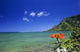 USA Hawaii Oahu Clear Wall Decal