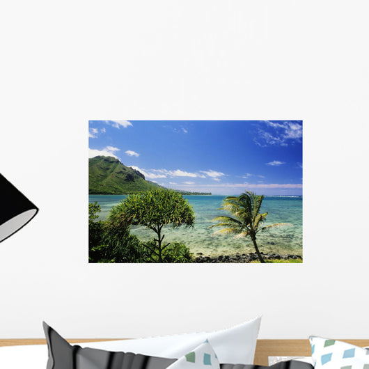 Crystal Clear Water and Wall Decal