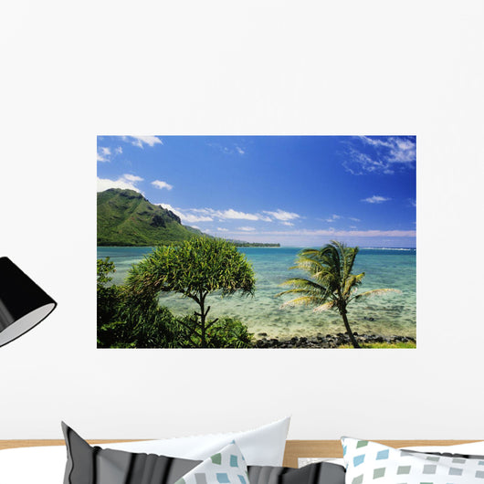 Crystal Clear Water and Wall Decal