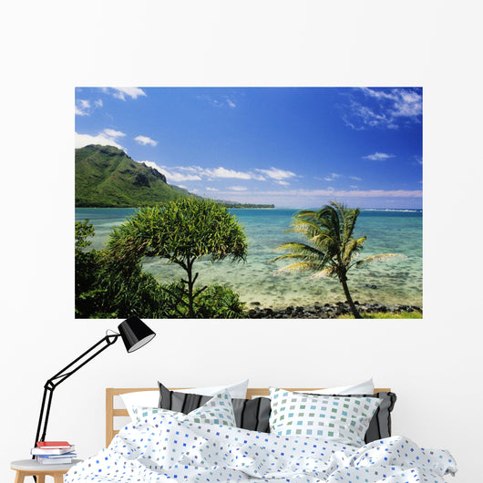 Crystal Clear Water and Wall Decal