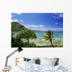 Crystal Clear Water and Wall Decal