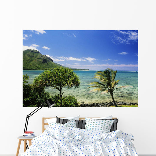 Crystal Clear Water and Wall Decal