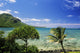 Crystal Clear Water and Wall Decal