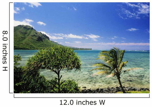 Crystal Clear Water and Wall Decal
