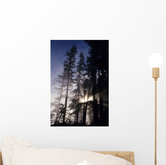 USA Oregon Sunlight Filtering Wall Decal
