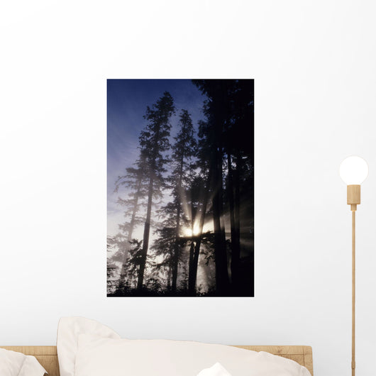 USA Oregon Sunlight Filtering Wall Decal