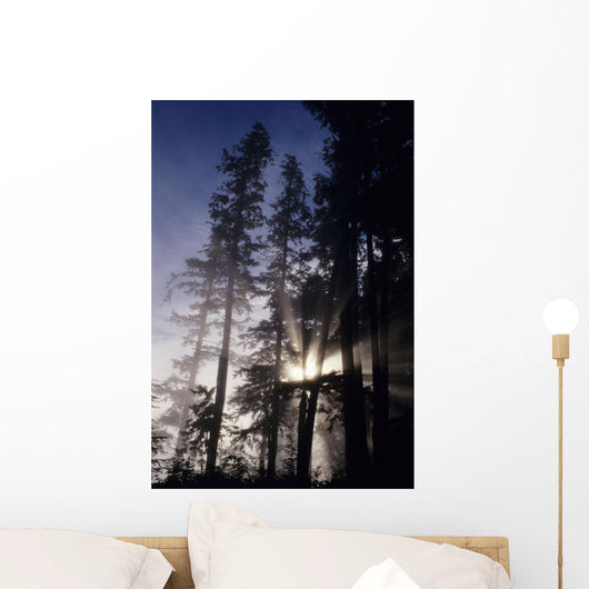 USA Oregon Sunlight Filtering Wall Decal