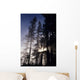 USA Oregon Sunlight Filtering Wall Decal