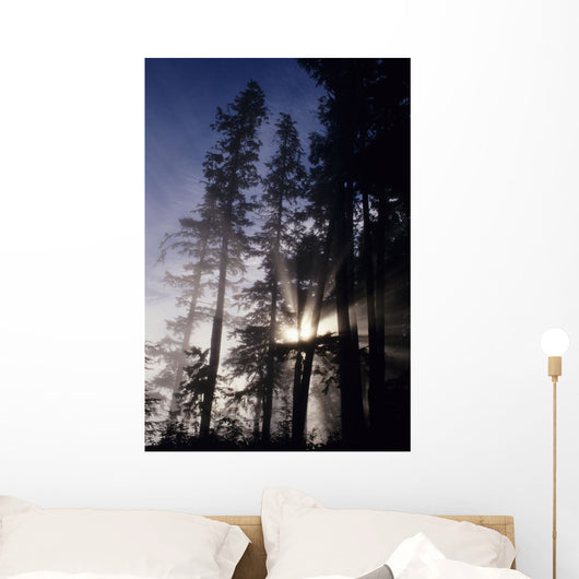 USA Oregon Sunlight Filtering Wall Decal