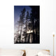 USA Oregon Sunlight Filtering Wall Decal